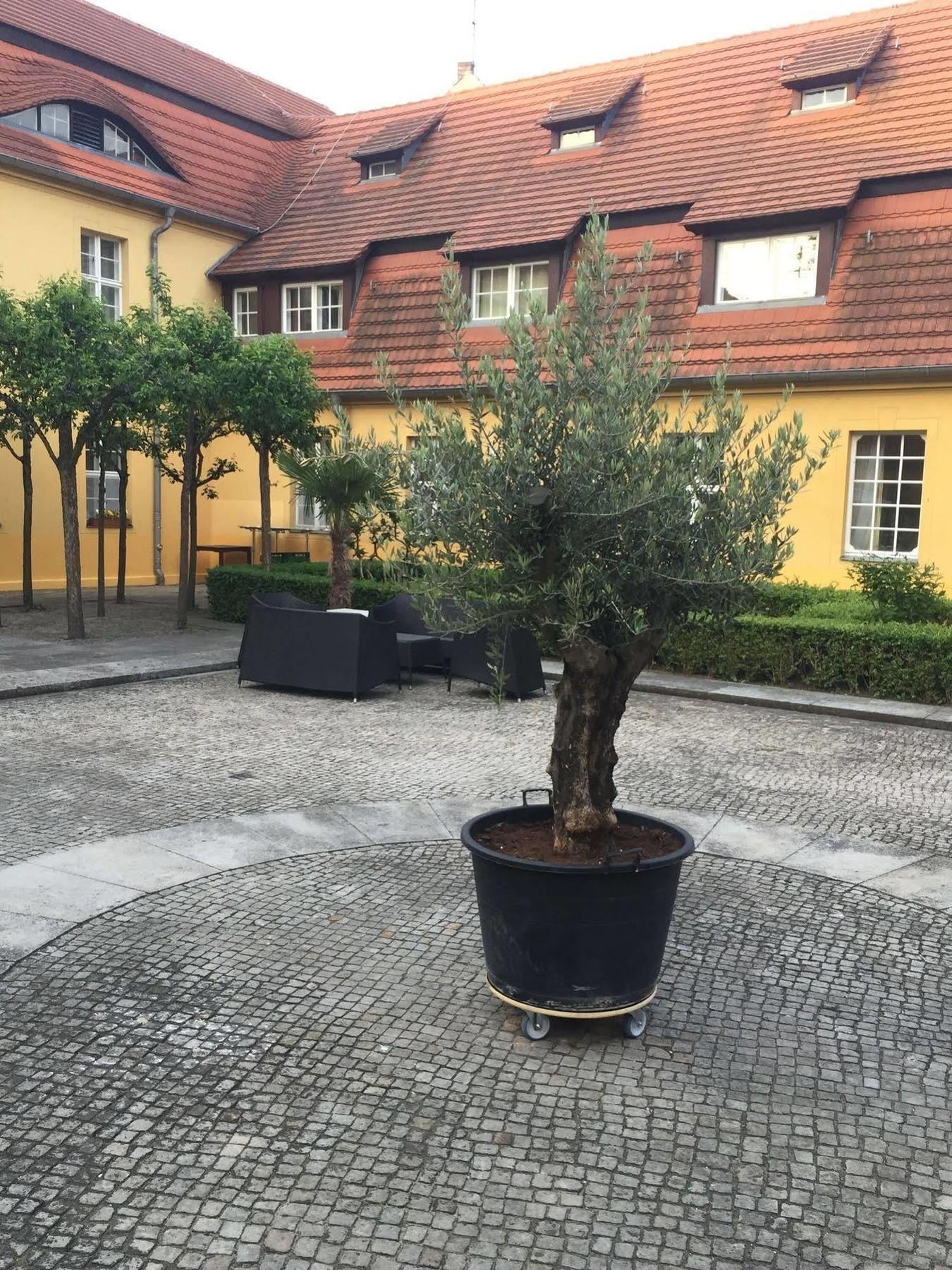Hotel Vierseithof Luckenwalde Exterior foto